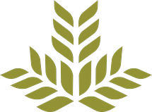 Northeast Georgia Medical Center & Health System, Inc. logo