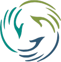 American Society for Surgery of the Hand logo